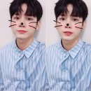 야옹야옹 이미지