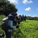 함평향교초등학교 이미지