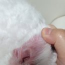 올치동물병원 이미지