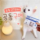 꽁이 - 중구 목중로 37 | 고양이 강아지 오메가3 네이쳐스키 피부영양제 급여 후기