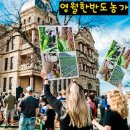 영월한반도농장 네이버블로그
