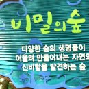 이화숲유치원 Daum카페