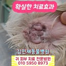 김민재동물병원 이미지