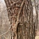 송담3로 이미지