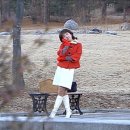 엘핀(Elfin)