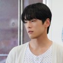 다림컴퍼니