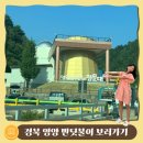 반딧불이 생태학교 | 영양 별빛 반딧불이 축제 천문대 아이와 가볼 만한 곳