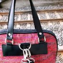 파란하늘빛어린이집 이미지