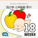 라인즈치과의원 이미지
