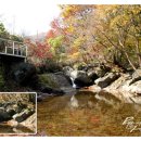 메이플하우스 펜션 이미지