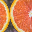 산성하나약국 이미지