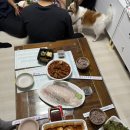 해인양푼이찜갈비