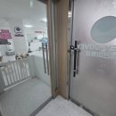 러비더비 | 아기 푸들 미용 후기｜안산 러비더비에서 편안하게