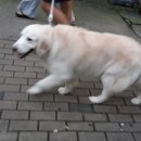 시흥은행초등학교 이미지