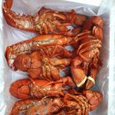 왜관ic실내바다낚시터 이미지