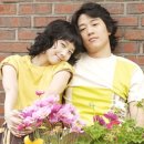 옥탑방고양이 이미지