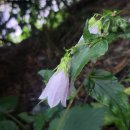 용천사편의점 이미지