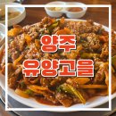 유양고을