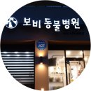 보비동물병원 이미지