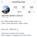 11월 원예: 빼빼로 드라이플라워와 꽃케이크 | 빼빼로데이 플라워박스 썸띵오브졔에서 내돈주고 구입한 후기!