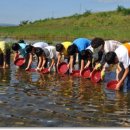 물고기나라 - 부천시 소사구 자유로 35-4 | 물고기나라