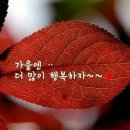 ♤♡동치미 금방먹게 담기♡♤ 이미지