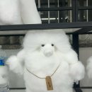 마이몽몽 이미지