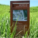 죽암리고분 이미지