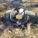 국립공원공단 국립공원야생생물보전원 북부보전센터 이미지