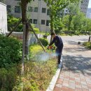 크로바경로당 이미지