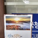 ok래프팅