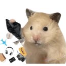 짱뽑기방 이미지