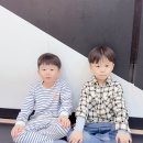 캡틴태권스쿨 이미지