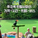 쇼 | 푸꾸옥 빈펄사파리 시간 가격 트램 버스 투어 | 버드쇼 후기