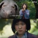 미란코퍼레이션 이미지