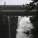 천제연폭포 이미지