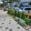 광양북초등학교 이미지