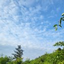 9정맥/호남12(노고치~ 주월산 활공장) 64.23 km.. 추억과 현실 그 교차점에서 이미지