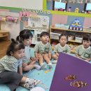 8월 12일(수) - [오플레이] 말미잘, 흰동가리를 지켜줘🪸 / 플레이콘 붙여 버스를 꾸며요🚌 이미지
