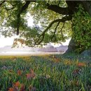 내부회계관리제도 : 투명한 회계관리, 신뢰받는 기업 | 외감법인과 회계 투명성 제도