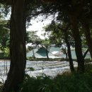 양도면-2 이미지