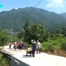 샘양지마을 이미지