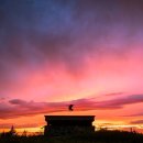 아모르(Amor) 이미지