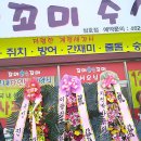 삐가번쩍 이미지