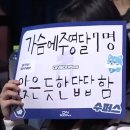 팀보