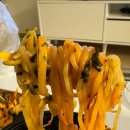 얌샘김밥 장안홈타운점 이미지