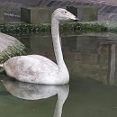 자연의 품 이미지