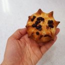 빵오레