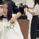 가희미용실 | 소문난 이유, 오목교미용실 프랑크프로보가희 디자이너님께 커트받고 온 후기/잘되는 미용실의 특징