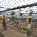 안막2구 이미지